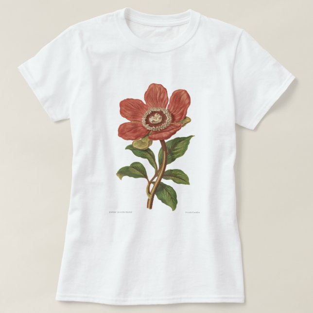 Pfingstrose, Antiken-viktorianisches botanisches T-Shirt (Design vorne)