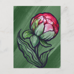 Pfingstrose Blume Pfingstrosen Gärtner Kunst Rosa Postkarte
