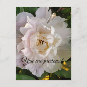 Pfingstrose-Blume Postkarte