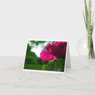 Pfingstrose leeres Notecard Karte