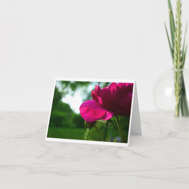 Pfingstrose leeres Notecard Karte (Vorderseite)