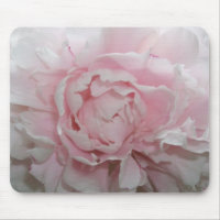 Pfingstrose nahes hohes Mousepad