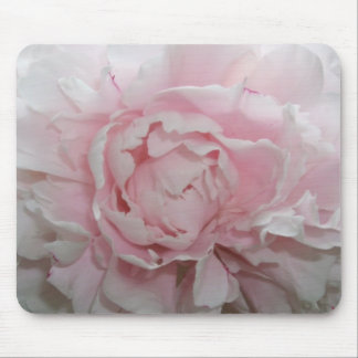 Pfingstrose nahes hohes Mousepad