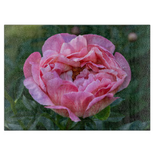 Pfingstrose, Pink Flower Fotografie Schneidebrett