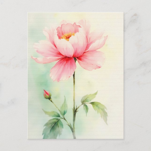 Pfingstrose Rosa Postkarte (Vorderseite)