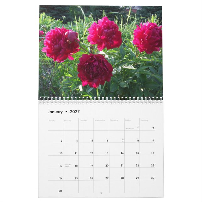 Pfingstrosen-Blumen-Kalender 2013 Kalender (Jan 2027)