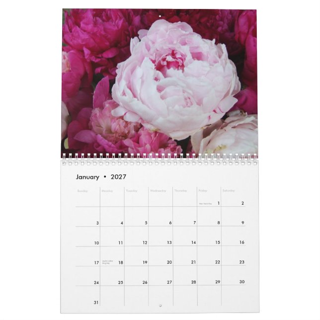 Pfingstrosen-Blumen-Kalender 2015 Kalender (Jan 2027)
