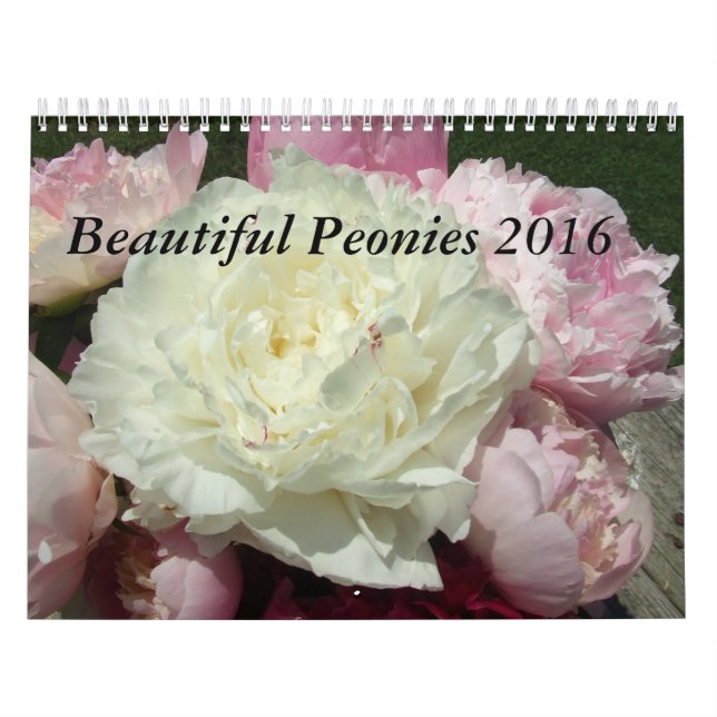 Pfingstrosen-Blumen-Kalender 2015 Kalender (Titelbild)