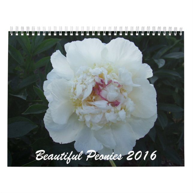 Pfingstrosen-Blumen-Kalender 2016 Kalender (Titelbild)