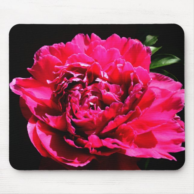 Pfingstrosen-Blumen-Mausunterlage Mousepad (Vorne)
