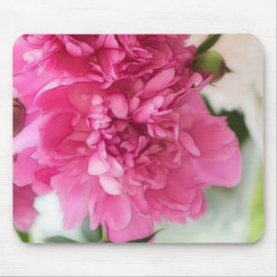 Pfingstrosen-Blumen-Nahaufnahme-Skizze Mousepad
