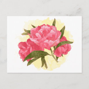 Pfingstrosen-Blumen Vintage-Wasserfarbe Rosa Postkarte
