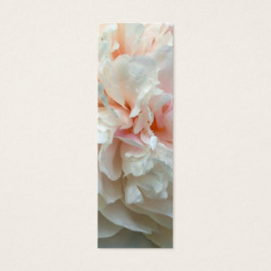 Pfingstrosen-Blumenblätter