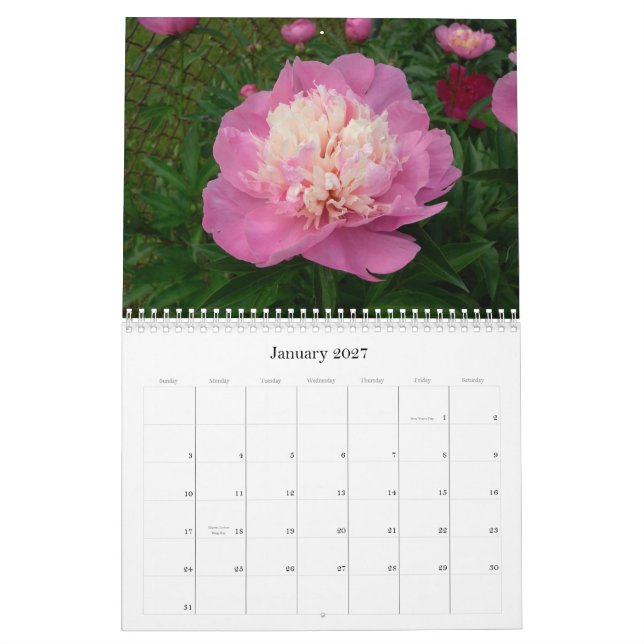 Pfingstrosen-Kalender August 2007 bis Juli 2008 Kalender (Jan 2027)