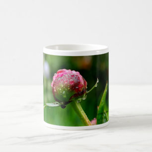 Pfingstrosen-Knospe Tasse