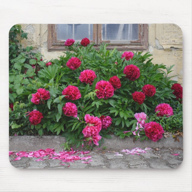 Pfingstrosen Mousepad (Vorne)