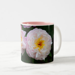 Pfingstrosen Zweifarbige Tasse