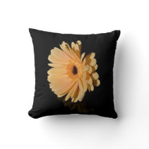 Pfirsich-Chrysantheme-Kissen