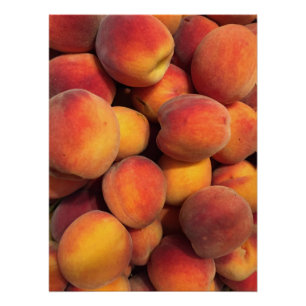 Pfirsich-Fotoplakat Poster