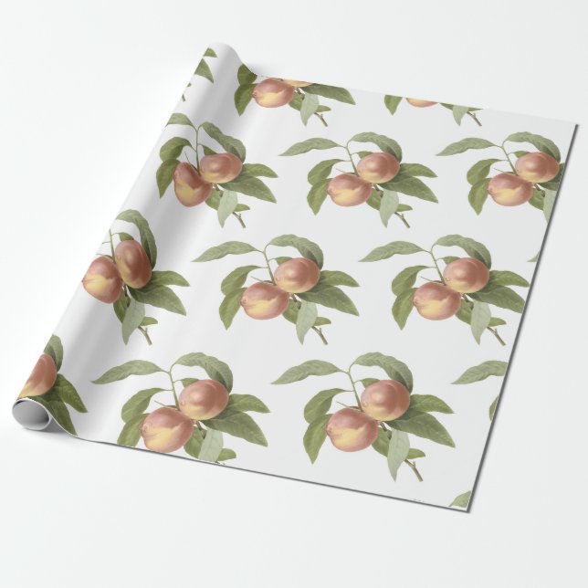 Pfirsich-Muster Geschenkpapier (Ungerollt)