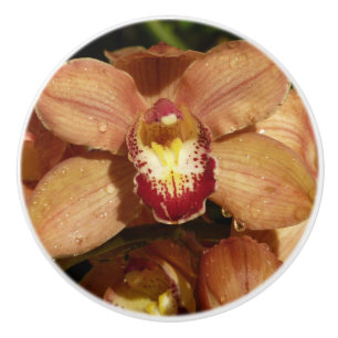 Pfirsich-Orchideen mit Regentropfen-Blüten Keramikknauf