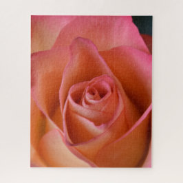 Pfirsich Pink Rose Jigsaw Puzzle