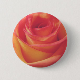Pfirsich-rosa Rosen-Blüten-Vintage Art-Fotografie Button