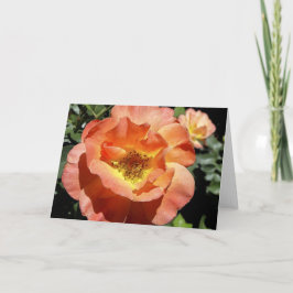 Pfirsich-Rose Feiertagskarte