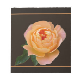 Pfirsich-Rosen-Makro Notizblock