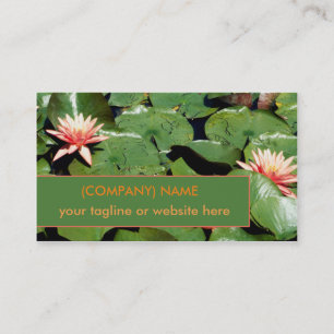 Pfirsich-Wasser-Lilien, Lotos-Blumen, grüne Visitenkarte