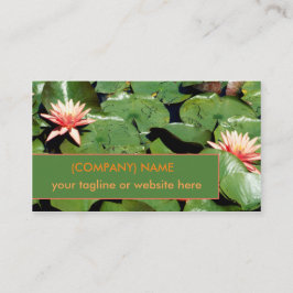Pfirsich-Wasser-Lilien, Lotos-Blumen, grüne Visitenkarte