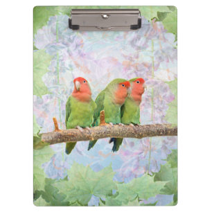 Pfirsich Wonne Clipboard Klemmbrett