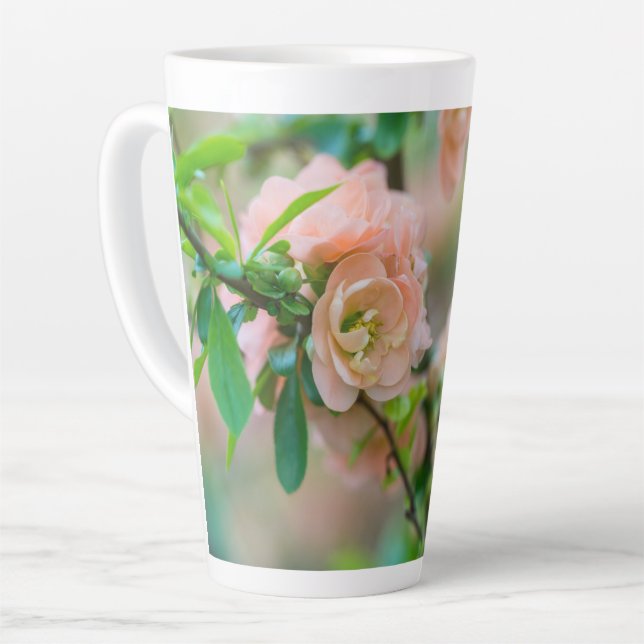 Pfirsichblendenzähigkeit Milchtasse (Linke Ecke)