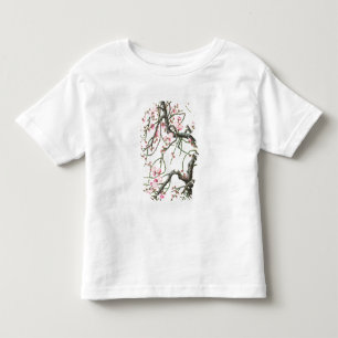 Pfirsichblüte (Farbe auf Papier) Kleinkind T-shirt