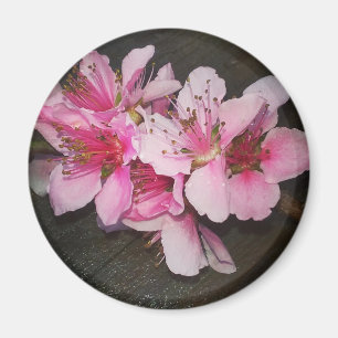 Pfirsichblüten Magnet