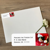 Pfirsiche die Tuxedo Cat Weihnachtsadressen Labels