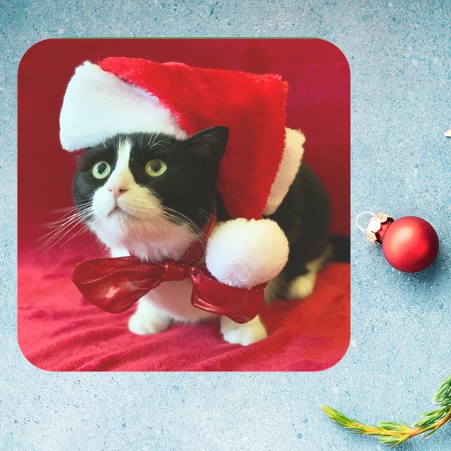 Pfirsiche die Tuxedo Katze Weihnachtskleber Quadratischer Aufkleber (Von Creator hochgeladen)