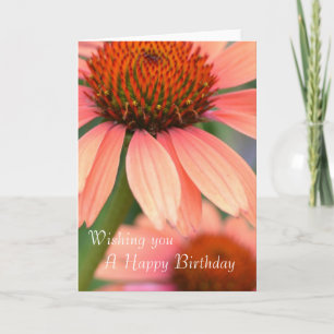 Pfirsichechinacea-Blumen-Karte Karte