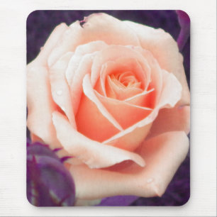 Pfirsichfarben-Rose Mousepad