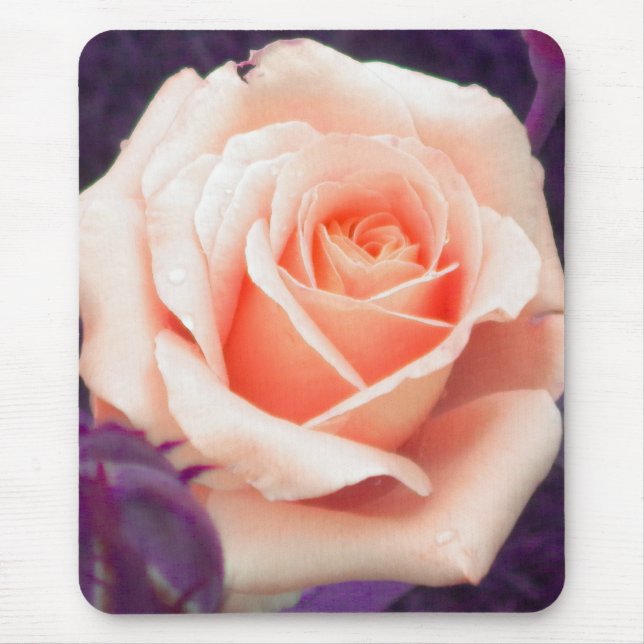 Pfirsichfarben-Rose Mousepad (Vorne)