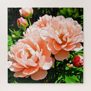 Pfirsichfarbene Blume Puzzle