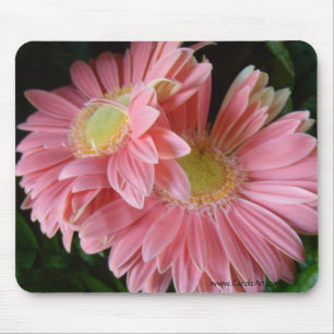 Pfirsichfarbene rosa Gänseblümchen Mousepad