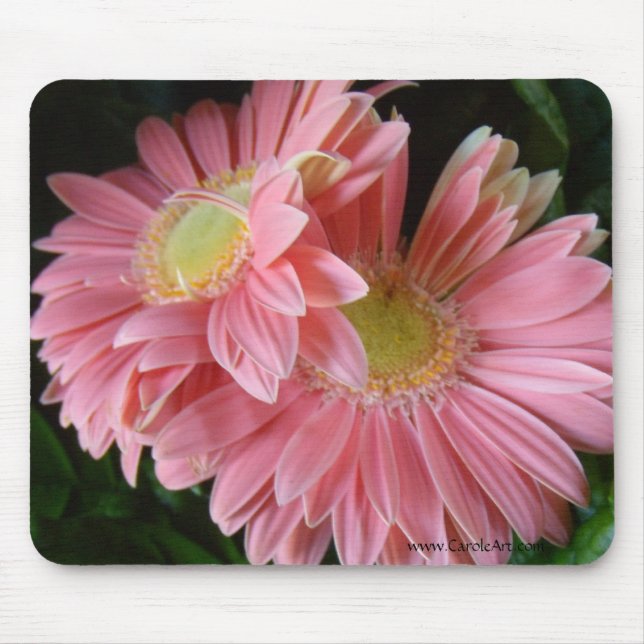 Pfirsichfarbene rosa Gänseblümchen Mousepad (Vorne)