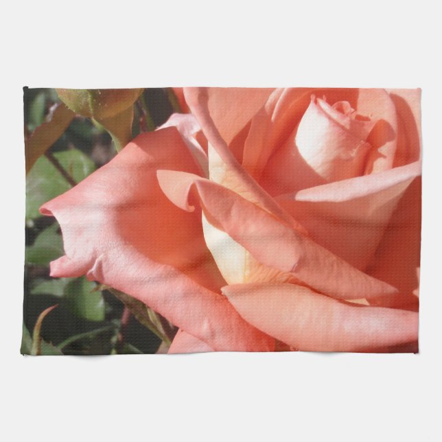 Pfirsichfarbene Rose Geschirrtuch (Horizontal)