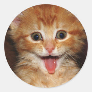 Pfirsichkitt Runder Aufkleber