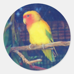 Pfirsichmarkierte Lovebird #1 Stickers