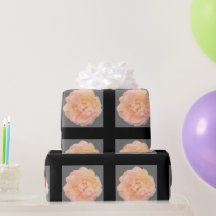 Pfirsichrosa Gelbe Rose Design auf schwarzem Hinte