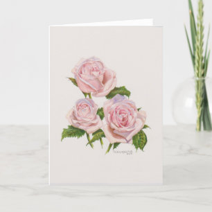 Pfirsichrosa Rosenkarte Karte