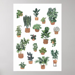 Pflanze 6 poster