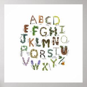 Pflanze Alphabet Nature Kinderzimmer Botanisches A Poster
